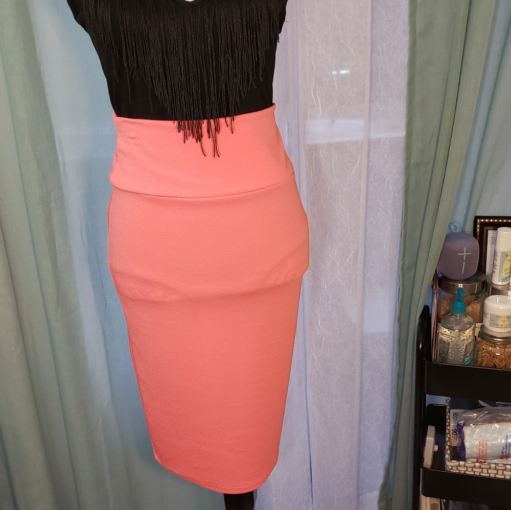 Never Worn High Waist Stretch Pencil Skirt
